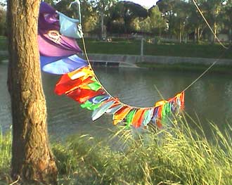 1 maggio 2005 Arno: un ponte di bandiere