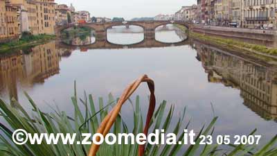 La Fiorita al Ponte Vecchio