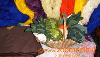Pezze di tela e filati con verdure fresche