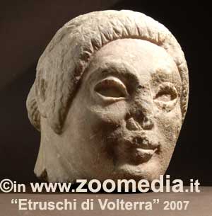 La testa "Lorenzini"